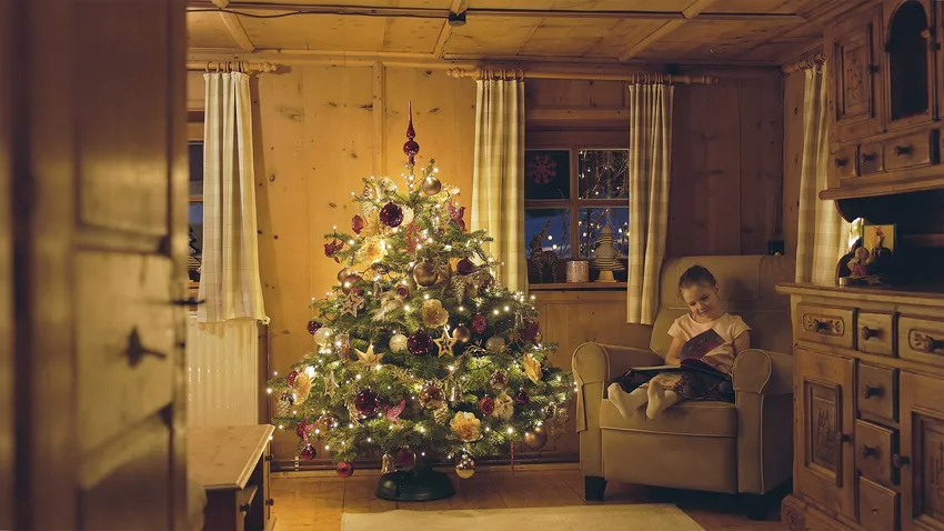"Це Різдво - FROHE WEIHNACHTEN"